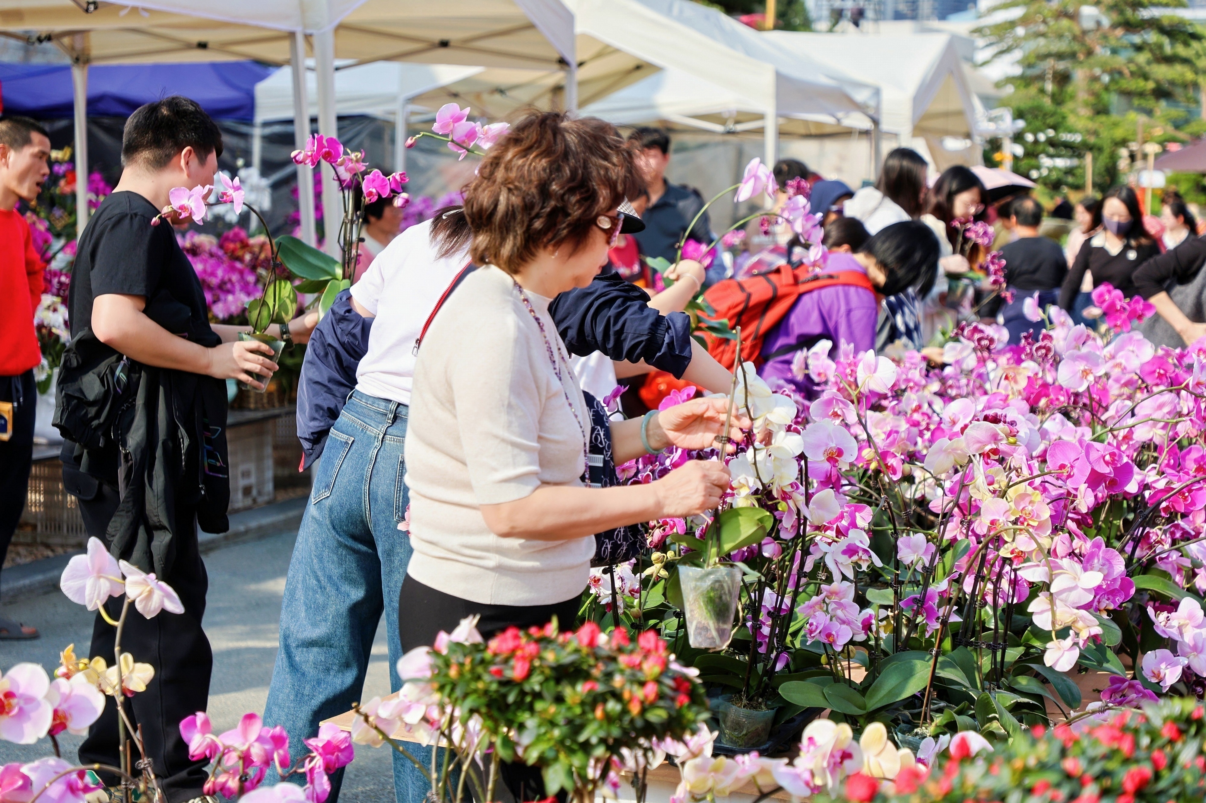 ba5e38846ddd505226f01d325b5a805a_content_6985b3d18b289